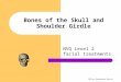Clare Hargreaves-Norris Bones of the Skull and Shoulder Girdle NVQ Level 2 facial treatments