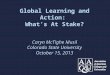Global Learning and Action: What’s At Stake? Caryn McTighe Musil Colorado State University October 15, 2013