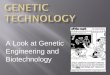 A Look at Genetic Engineering and Biotechnology