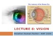 LECTURE 8: VISION Aviation Human Factor : AHF 2103