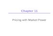 Chapter 11 Pricing with Market Power. Chapter 112 Capturing Consumer Surplus All pricing strategies we will examine are means of capturing consumer surplus