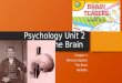 Psychology Unit 2 The Brain Chapter 3 Nervous System The Brain Heredity
