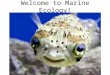 Welcome to Marine Ecology!. any student with schedule issues can see a counselor in room 193 Schedule issues are: 1.I have a hole in my schedule 2.I am