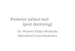 Posterior palatal seal (post damming) Dr. Waseem Bahjat Mushtaha Specialized in prosthodontics