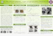 Plant fiber reinforced geopolymer – A green and high performance cementitious material Rui Chen (Graduate Student), Saeed Ahmari (Graduate Student), Mark
