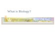 What is Biology?. Biology is the Study of Life Biologist study the interactions of life. Entomologist Anthropologist Ornithologist Etc…