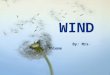 By: Mrs. Thieme. What is wind? Wind is air in motion. It is produced by the uneven heating of the earth’s surface by the sun. Since the earth’s surface