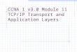 CCNA 1 v3.0 Module 11 TCP/IP Transport and Application Layers