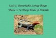 Unit 2: Remarkable Living Things Theme 3: So Many Kinds of Animals 