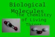 Biological Molecules The Chemistry of Living Things