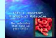 Life’s Important Biological Molecules The molecules that make up your cells