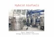 Hybrid biofuels Chris Somerville Energy Biosciences Institute