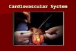 Cardiovascular System. I. Functions of the heart. 1. Generating blood pressure. 2. Routing blood. 3. Ensuring blood moves one way. 4. Regulating blood