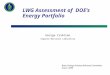 LWG Assessment of DOE’s Energy Portfolio George Crabtree Argonne National Laboratory Basic Energy Sciences Advisory Committee Aug 3, 2006