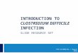 INTRODUCTION TO CLOSTRIDIUM DIFFICILE INFECTION SLIDE RESOURCE SET FDX/13/0068/EU | August 2013