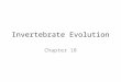 Invertebrate Evolution Chapter 18. Defining Animals Invertebrates – majority Vertebrates Commonality – Multicellular eukaryotes – Chemoheterotrophs Obtain