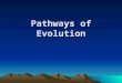 Pathways of Evolution. Divergent & Convergent Pathways Divergent Evolution Two or more species evolve increasingly different traits. Disruptive selection