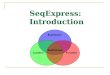 SeqExpress: Introduction. Features Visualisation Tools  Data: gene expression, gene function and gene location.  Analysis: probability models, hierarchies