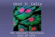 Unit 3: Cells The smallest functional unit of life