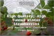 High Quality, High Tunnel Winter Strawberries Jeff Martin, M.S. Candidate Crops Group