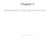 Chapter 7 Photosynthesis: Using Light to Make Food Laura Coronado Bio 10 Chap 7