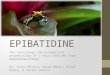 EPIBATIDINE The toxicology and prospective pharmacology of a toxin derived from Epipedobates anthoyi. By: Kriti Mishra, Aaron Marks, Bikal Wagle, & Carlos