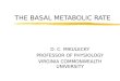 THE BASAL METABOLIC RATE D. C. MIKULECKY PROFESSOR OF PHYSIOLOGY VIRGINIA COMMONWEALTH UNIVERSITY
