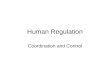 Human Regulation Coordination and Control Regulation in Humans Controlled by 2 systems –Nervous System - electrical –Endocrine System – chemical Both