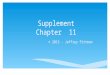 Supplement Chapter 11 © 2013 - Jeffrey Pittman.  We begin our discussion of business organizations by examining issues of business and owner responsibility
