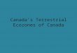Canada’s Terrestrial Ecozones of Canada. What is an Ecozone? It is an area of land that has specific types of landforms, soil, climate, and animals. Canada