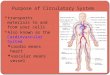 Purpose of Circulatory System transports materials to and from your cells Also known as the Cardiovascular System cardio means heart vascular means vessel