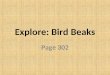 Explore: Bird Beaks Page 302. Bird beaks introduction Turn to pg. 302 in your Integrated Science book This is a investigative design activity so let’s