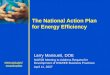 Www.epa.gov/ eeactionplan The National Action Plan for Energy Efficiency Larry Mansueti, DOE NAESB Meeting to Address Request for Development of DSM/EE