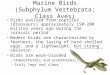 Marine Birds (Subphylum Vertebrata; Class Aves) Birds evolved from reptiles (dinosaurs) approximately 150-200 million years ago during the Jurassic period
