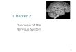 1 Chapter 2 Overview of the Nervous System. 2 Anatomical Directions Help Us Locate Structures in the Nervous System