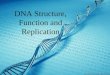 DNA Structure, Function and Replication. B5 â€“ Describe DNA replication: Review DNA structure and function Describe the purpose of DNA replication Identify