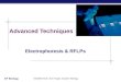 AP Biology Modified from: Kim Foglia, Explore Biology Advanced Techniques Electrophoresis & RFLPs
