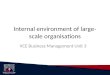 Internal environment of large- scale organisations VCE Business Management Unit 3