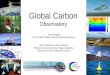 Global Carbon Observatory Pep Canadell GCP-CSIRO Marine and Atmospheric Research With contributions and thanks to: Philippe Ciais, David Crisp, Roger Dargaville,