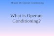 What is Operant Conditioning? Module 16: Operant Conditioning