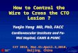 How to Control the Wire to Cross the CTO Lesion ? Yuejin Yang MD, PhD, FACC Cardiovascular Institute and Fu- Wai Hopital, CAMS & PUMC CIT 2010, Mar.31-April.3,2010,