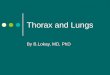 Thorax and Lungs By B.Lokay, MD, PhD Anterior Thorax (Suprasternal notch)