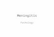 Meningitis Pathology. CNS Infections Portals of entry of infection into the CNS: – Hematogenous spread the most common – Direct implantation traumatic