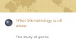 What Microbiology is all about The study of germs