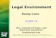 11 CLASS 13 UCC, Commercial Paper, and Electronic Commerce; Employment Law Legal Environment Randy Canis