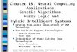 1 Chapter 18: Neural Computing Applications, Genetic Algorithms, Fuzzy Logic and Hybrid Intelligent Systems Several Real-world Applications of ANN Technology
