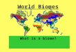 World Biomes What is a biome?.  Tropical Rainforest Location: Found near equator…little variation in