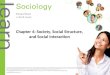 Chapter 4: Society, Social Structure, and Social Interaction