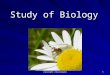 1 Study of Biology copyright cmassengale. 2 What is Biology? Biology is the study of all living things (called organisms). Organisms include bacteria,