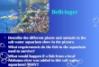 Bellringer Describe the different plants and animals in the salt water aquarium show in the picture. What requirements do the fish in the aquarium need